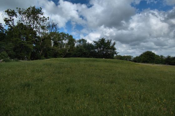 Nympsfield (Long Barrow)