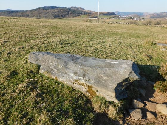Dunamuck (Stone Row / Alignment)