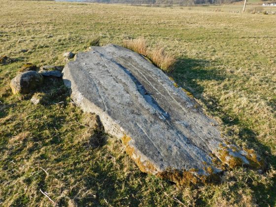 Dunamuck (Stone Row / Alignment)
