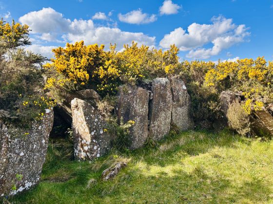 Tamnyrankin (Court Tomb)