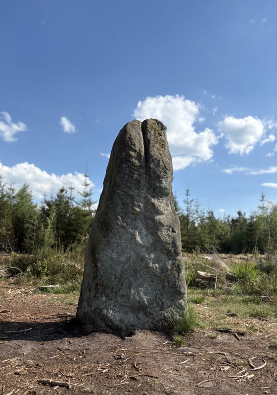 Farley Moor (Standing Stone / Menhir)