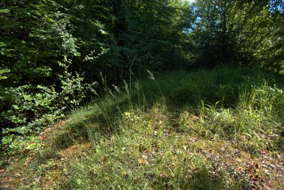 Cop Heap (Round Barrow(s))