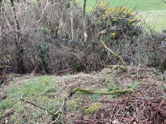 Cairn Macneilie, Inch Parks (Cairn(s))