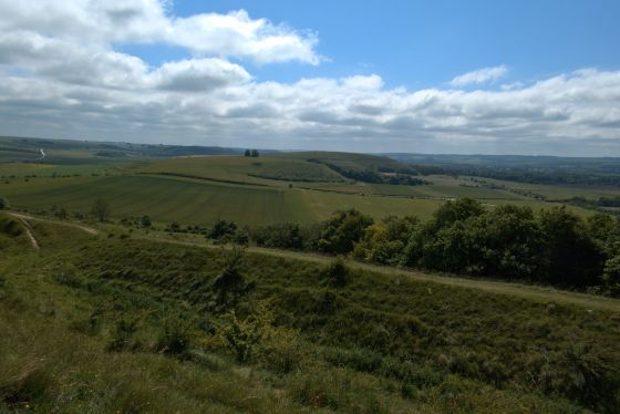 Battlesbury Camp (Hillfort)