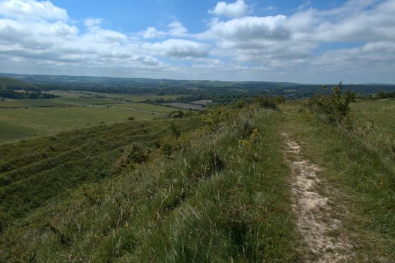 Battlesbury Camp (Hillfort)