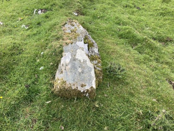 Cairnholy 08 (Cup Marked Stone)