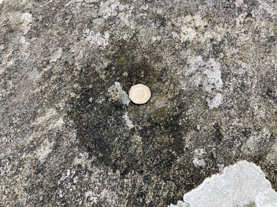 Cairnholy 15 (Cup and Ring Marks / Rock Art)