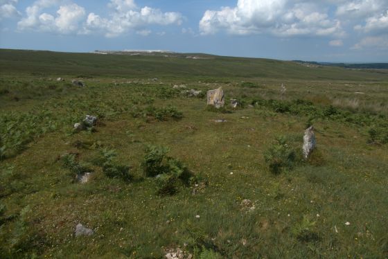 Trowlesworthy West Stone Row