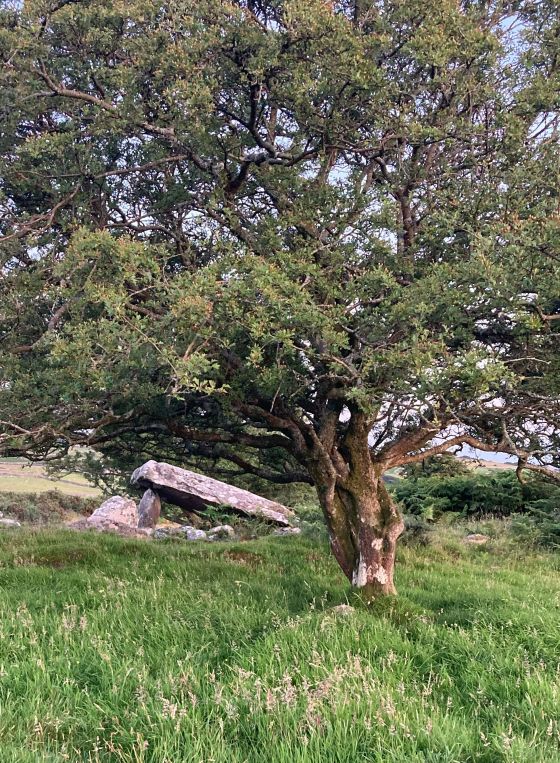 Cors y Gedol (Burial Chamber)