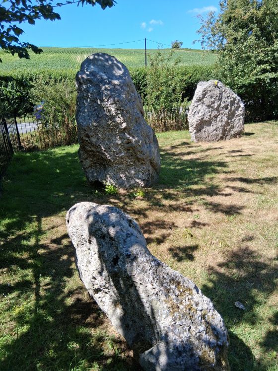 The Nine Stones of Winterbourne Abbas