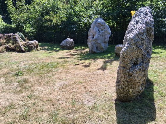 The Nine Stones of Winterbourne Abbas