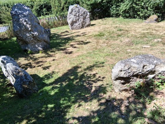 The Nine Stones of Winterbourne Abbas (Stone Circle)