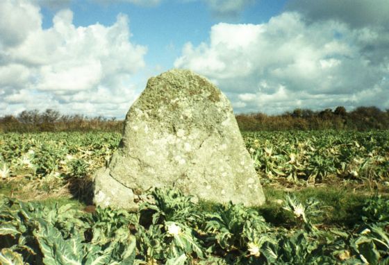 Kerris (Standing Stone / Menhir)