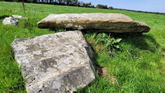 Dyffryn Stones (Cairn circle)