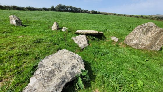 Dyffryn Stones (Cairn circle)