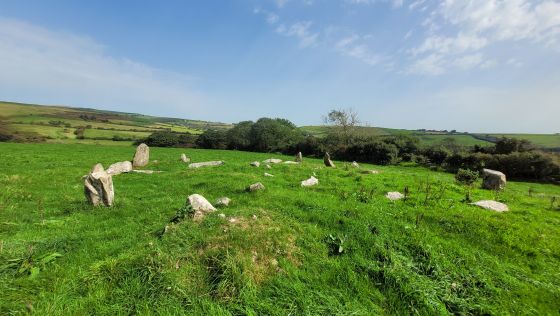 Dyffryn Stones (Cairn circle)