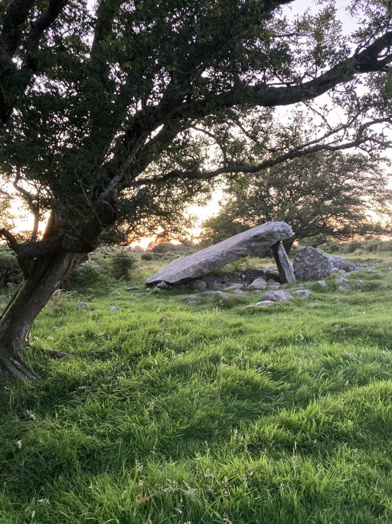 Cors y Gedol (Burial Chamber)