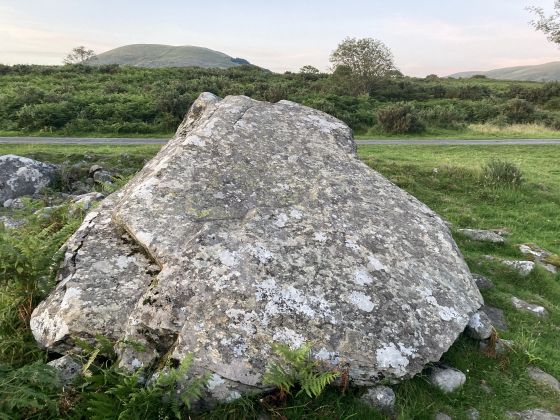 Cors y Gedol (Burial Chamber)