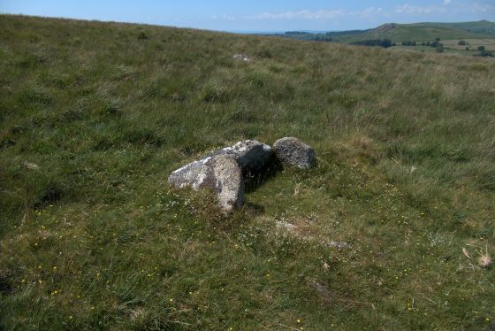 Gutter Tor Cist