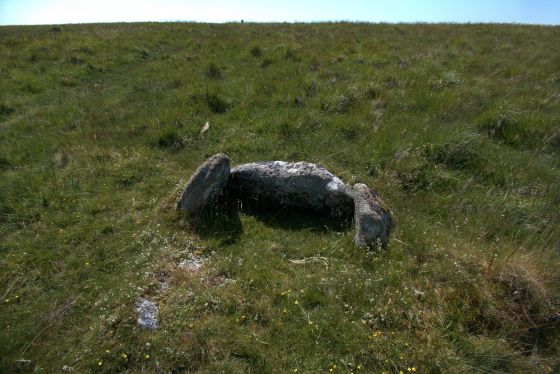 Gutter Tor Cist