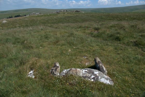 Gutter Tor Cist