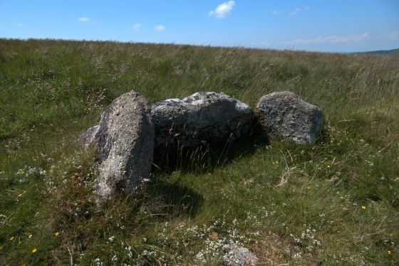 Gutter Tor Cist
