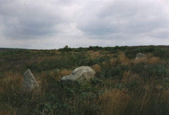 Porthmeor (Treen Common) (Stone Circle)