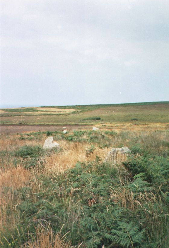 Porthmeor (Treen Common) (Stone Circle)
