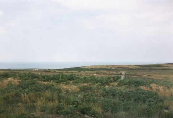 Porthmeor (Treen Common) (Stone Circle)