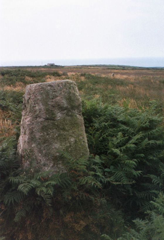 Porthmeor (Treen Common) (Stone Circle)