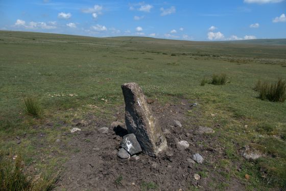 Ringmoor Cairn Circle and Stone Row