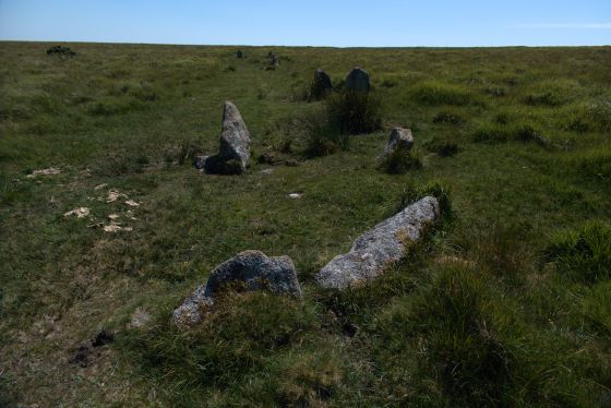 Ringmoor Cairn Circle and Stone Row