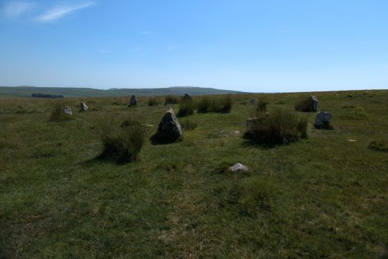 Ringmoor Cairn Circle and Stone Row