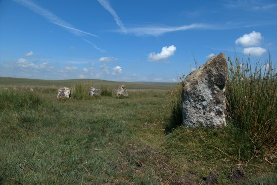 Ringmoor Cairn Circle and Stone Row