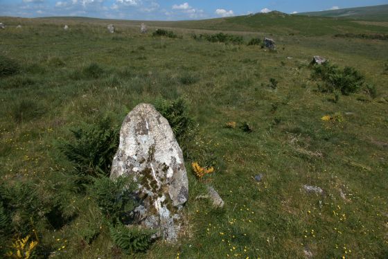 Brisworthy Stone Circle
