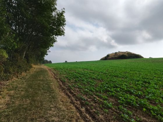 Ingers høj (Artificial Mound)