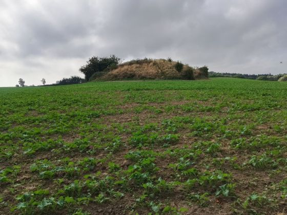 Ingers høj (Artificial Mound)