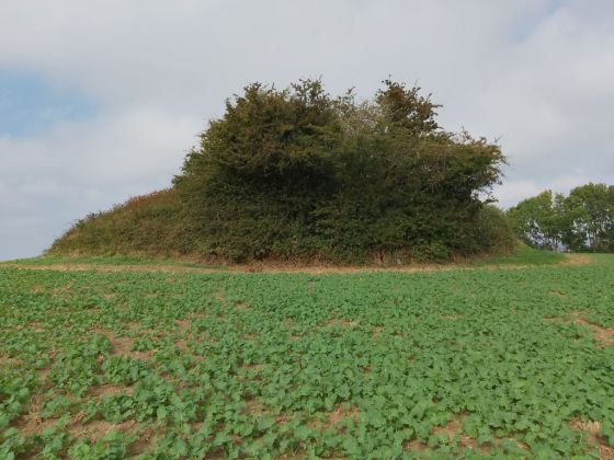 Ingers høj (Artificial Mound)