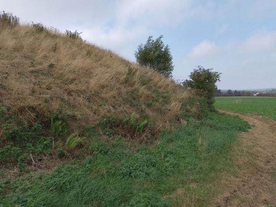 Ingers høj (Artificial Mound)