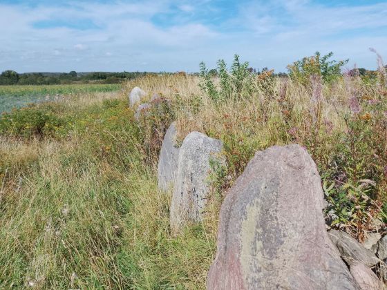 Capeshøj (Dolmen / Quoit / Cromlech)