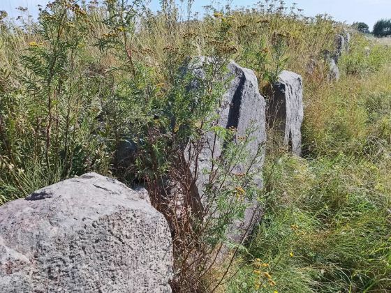 Capeshøj (Dolmen / Quoit / Cromlech)