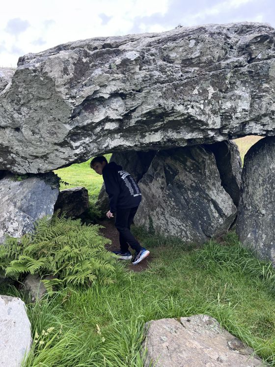 Plas Newydd Burial Chamber (Dolmen / Quoit / Cromlech)