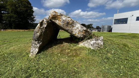 Lismeehan or Maryfort (Wedge Tomb)