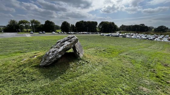 Lismeehan or Maryfort (Wedge Tomb)