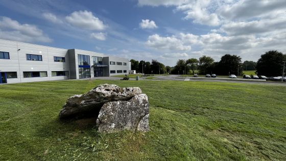 Lismeehan or Maryfort (Wedge Tomb)