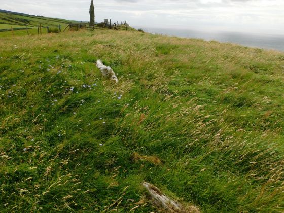 Beacharr (Chambered Cairn)
