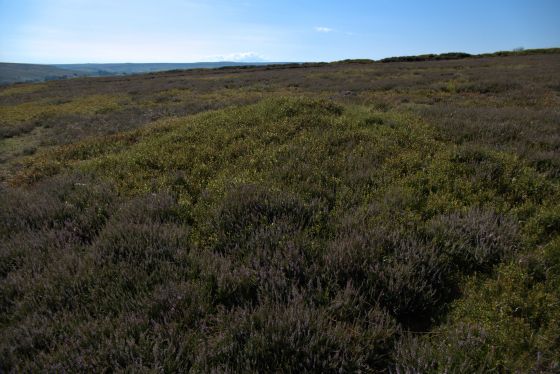 Keld Brow (Cairn(s))