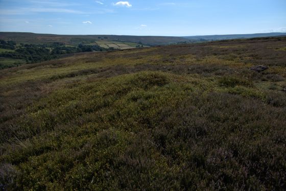 Keld Brow (Cairn(s))