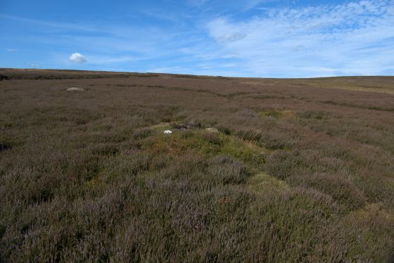 Keld Brow (Cairn(s))