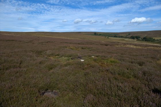 Keld Brow (Cairn(s))